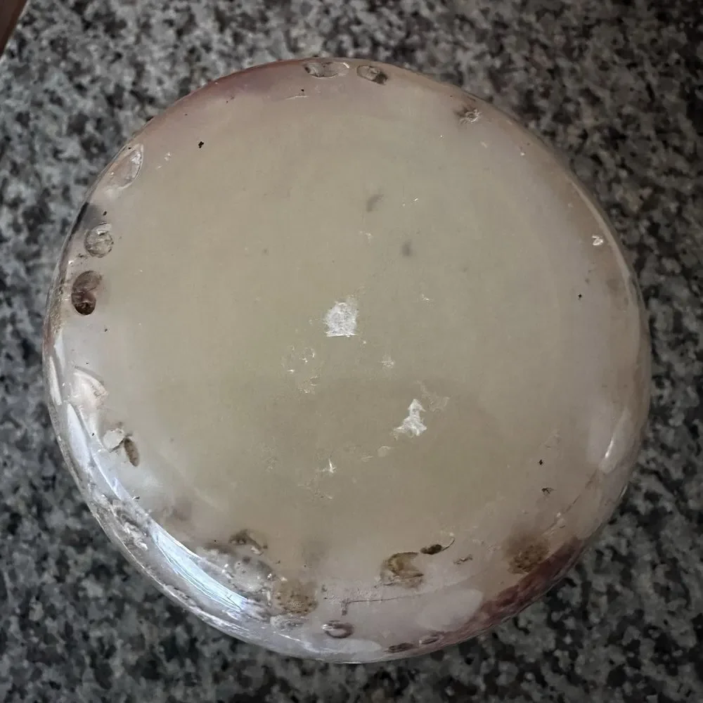 VTG Acrylic Resin Shells Candle Holder 4.75 Inch Vase Nautical Beach Ocean Decor